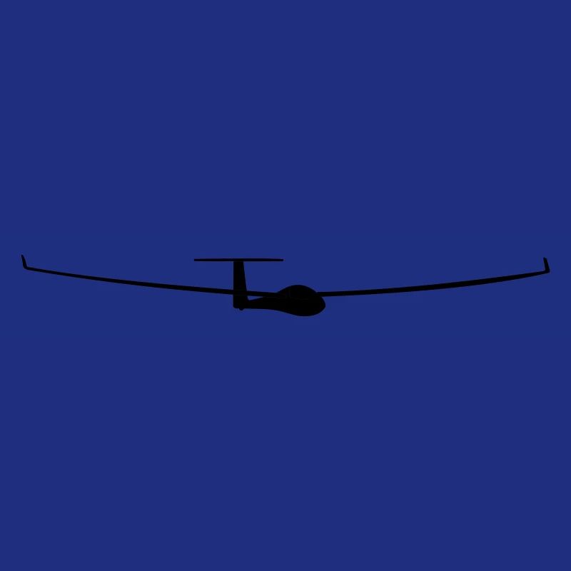 soaring pilot