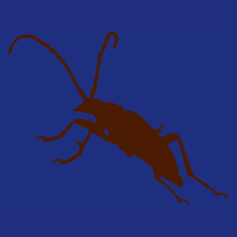 Käfer Bug