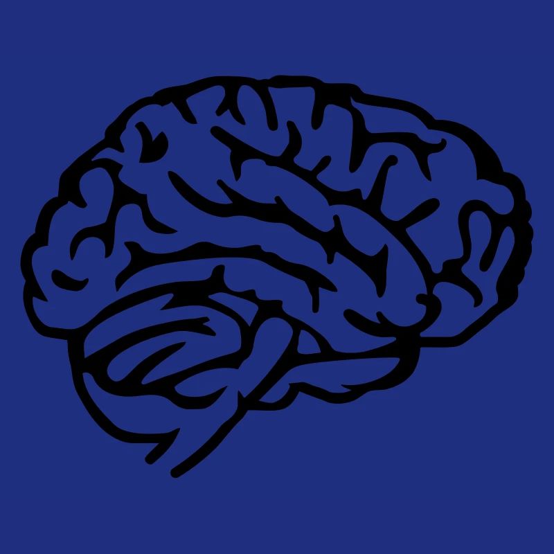 Brain