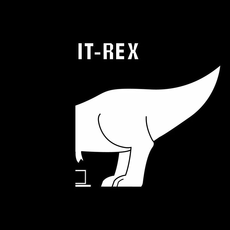 Informatik IT-Rex