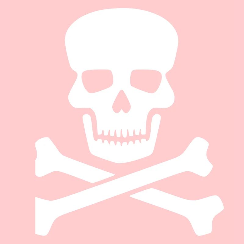 Idée cadeau Skull white