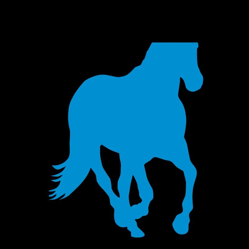 Cheval poney cavalier sauvage