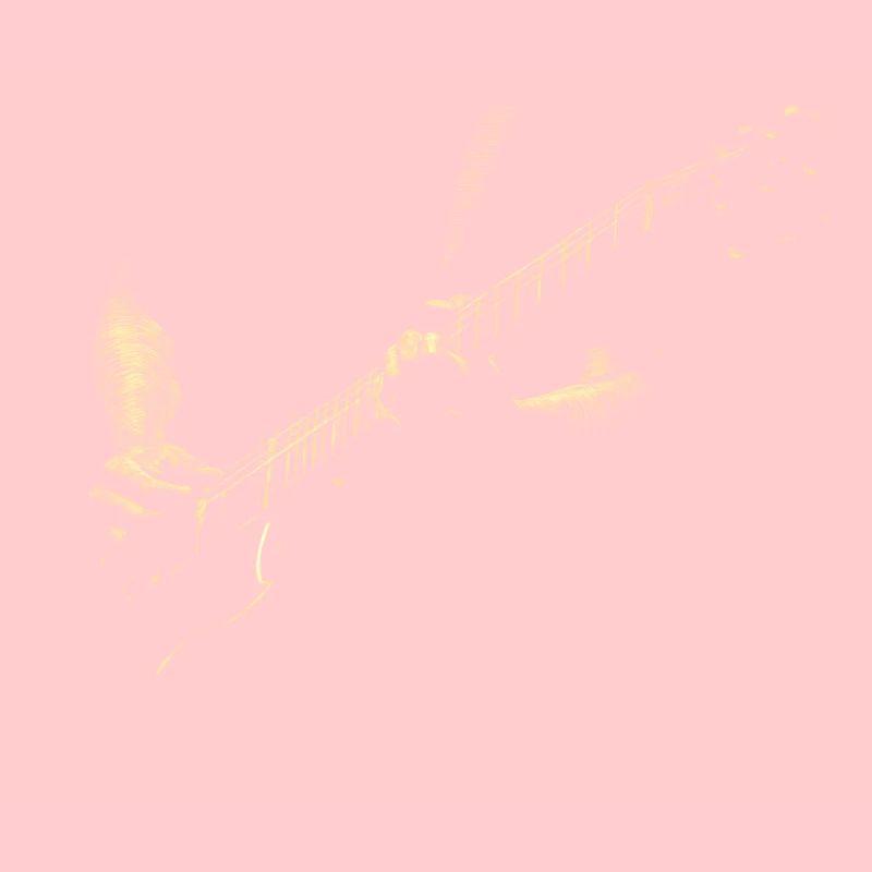 Guitarist