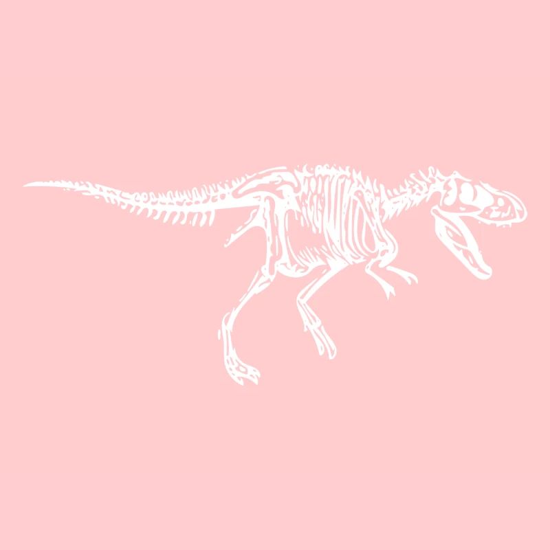 T-Rex squelette Tyrannosaurus Rex