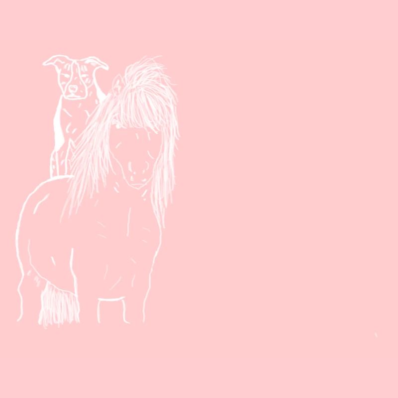 Cheval et chien