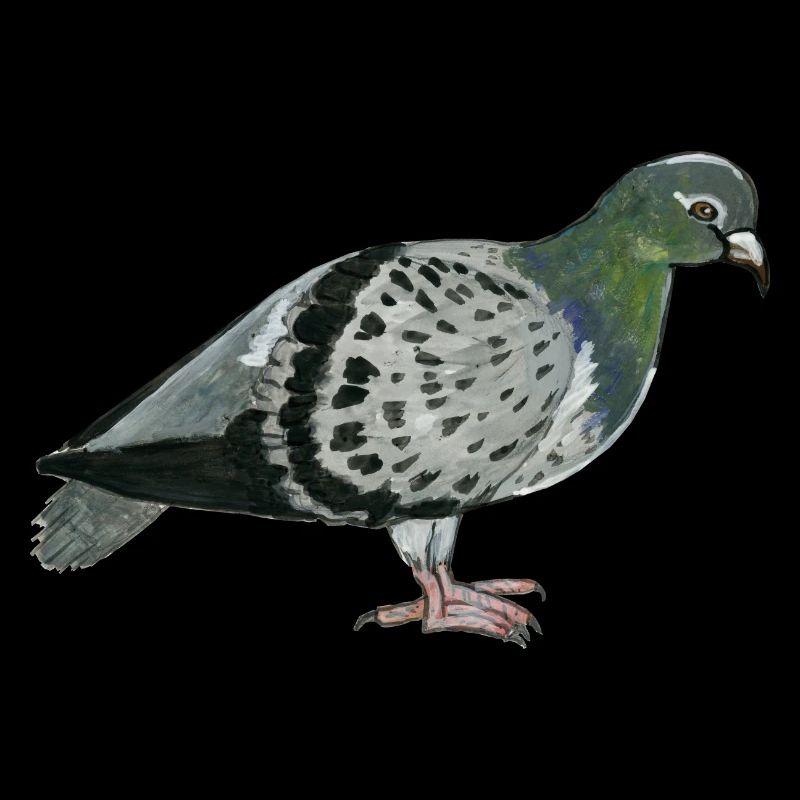 Taube in Aquarellmalerei
