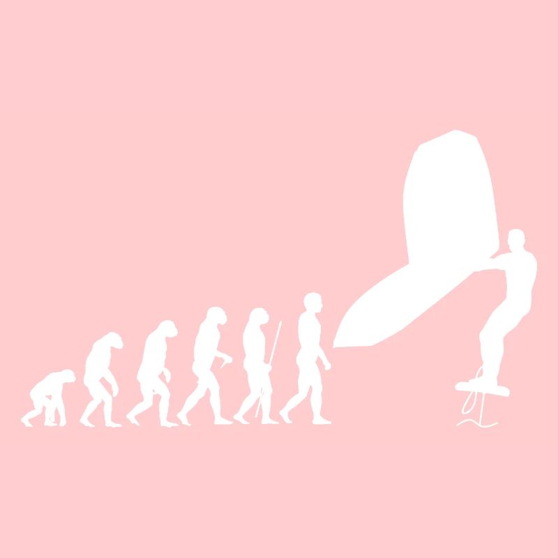 Wingsurf Evolution