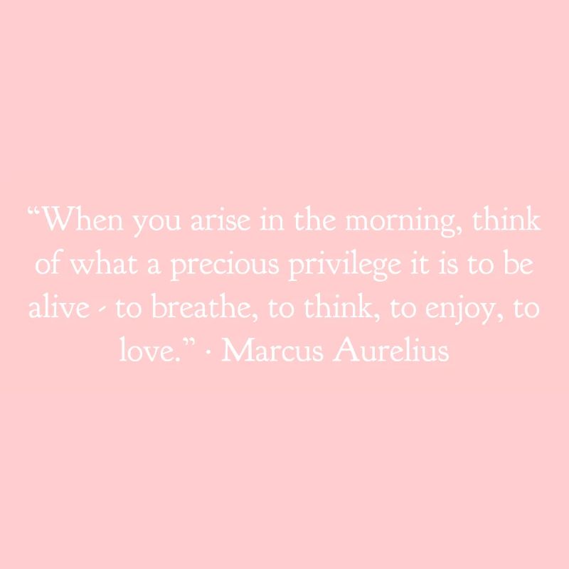 Wenn Du Morgens Aufstehst Marcus Aurelius