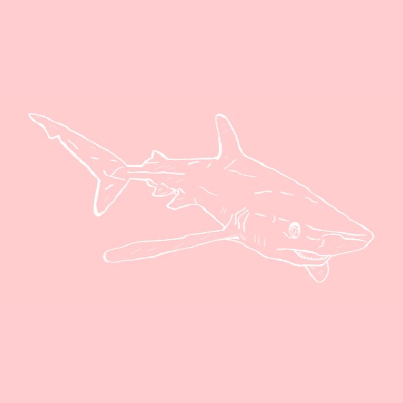 Requin