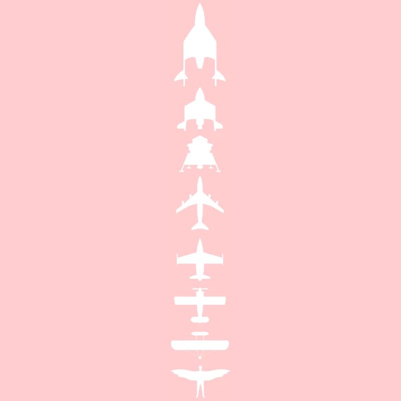 Evolution des Fliegens