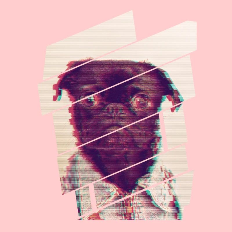 Glitch Pug