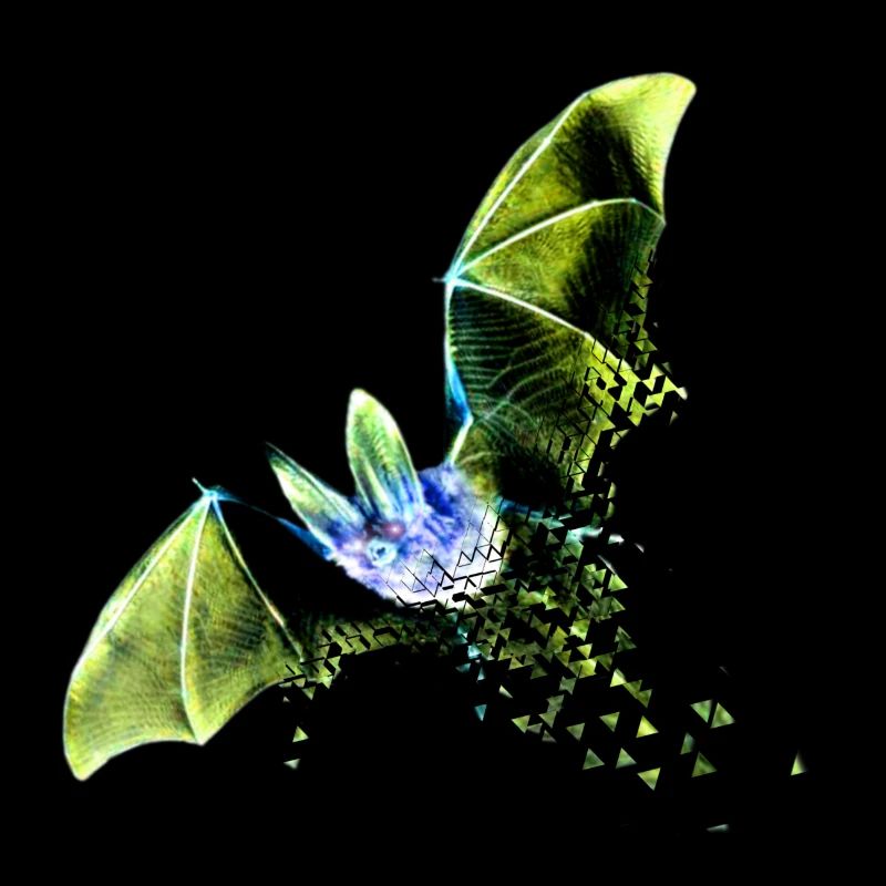 Bat