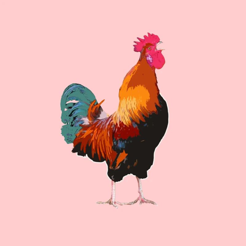 Rooster