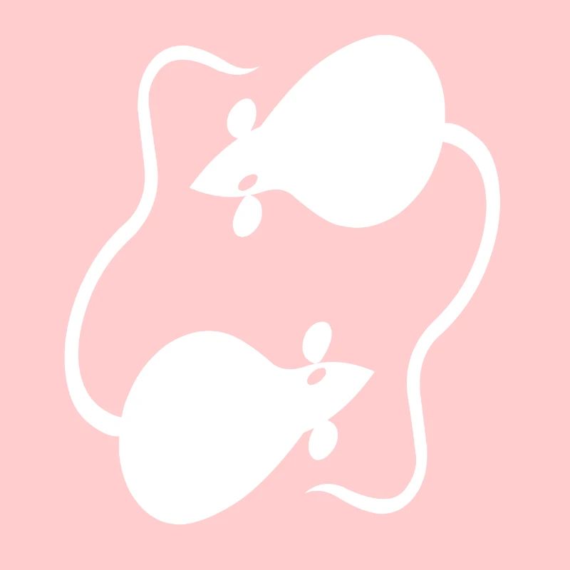 Souris