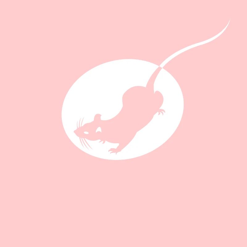 rat