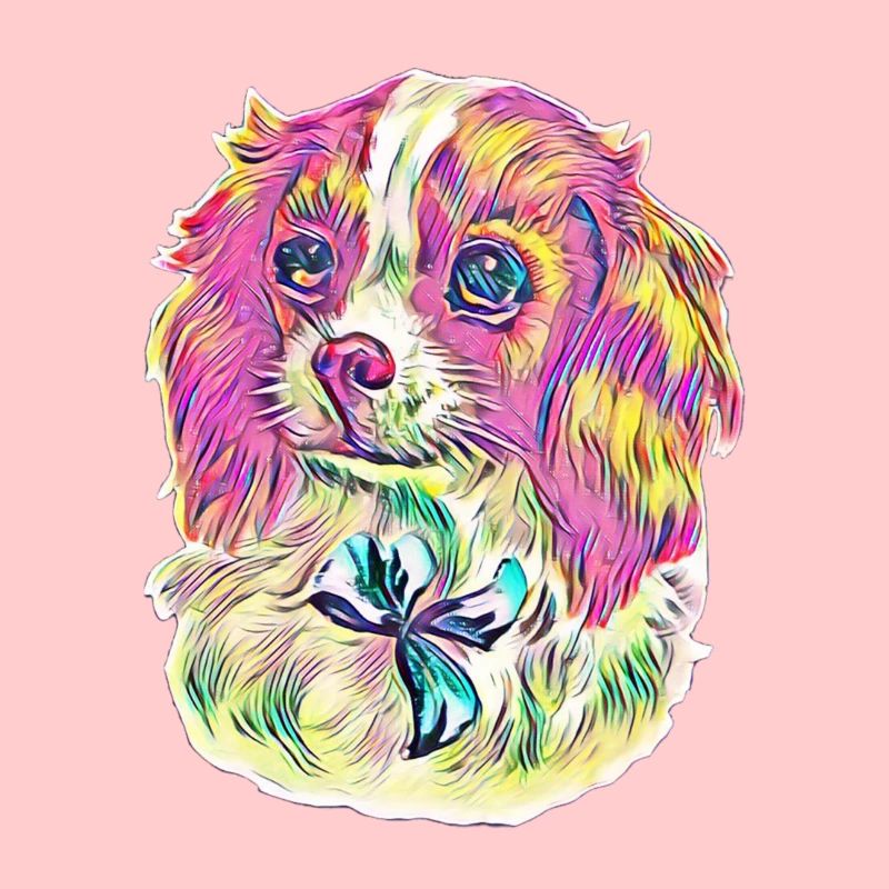 Cavalier King Charles Spaniel