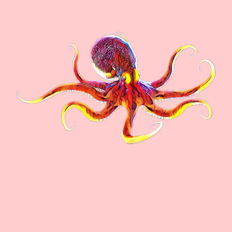 Octopus