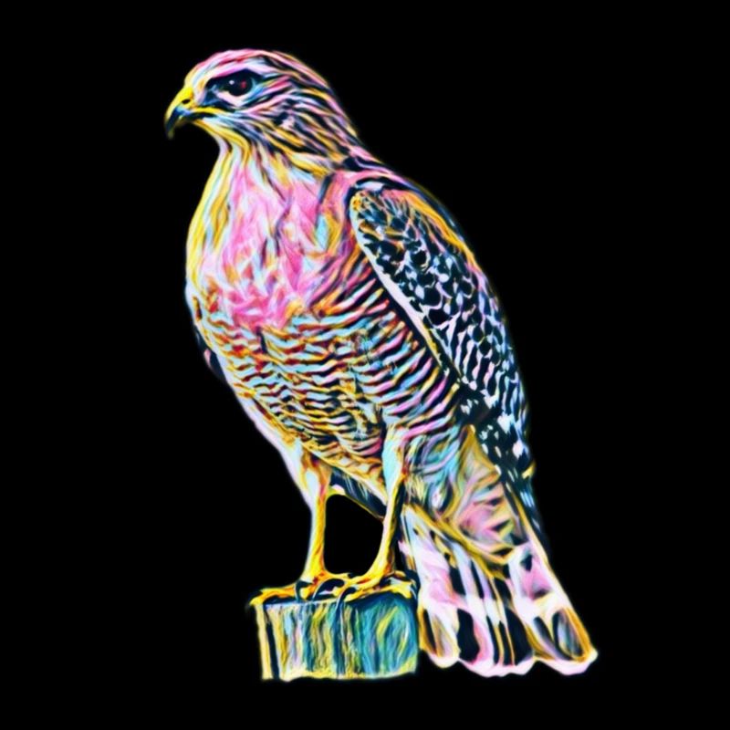 Falcon