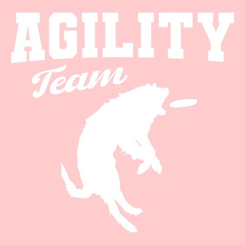 Équipe de chiens d'agilité