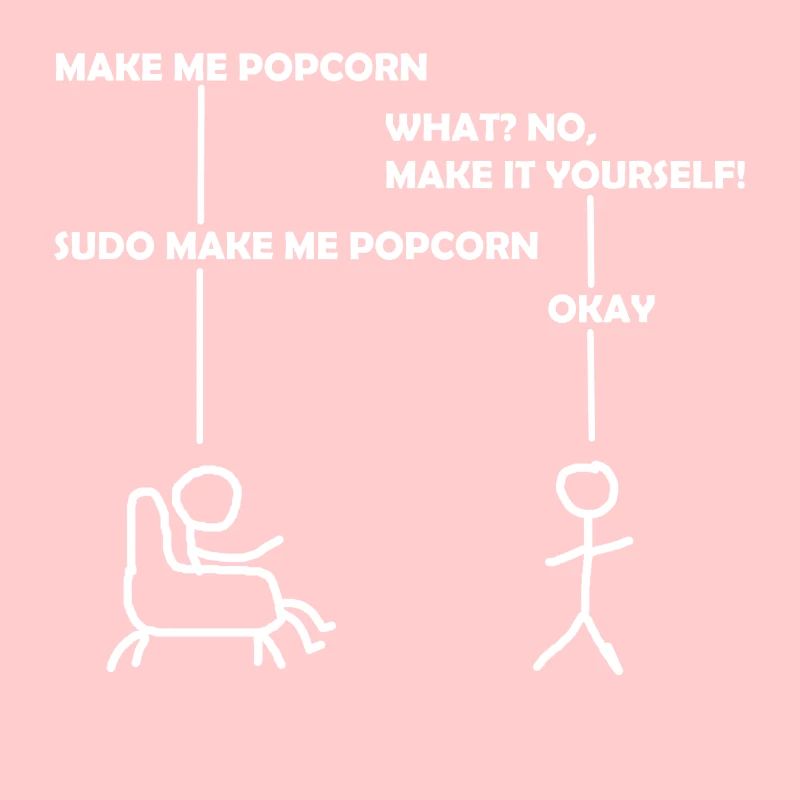 programmeur sudo informatique