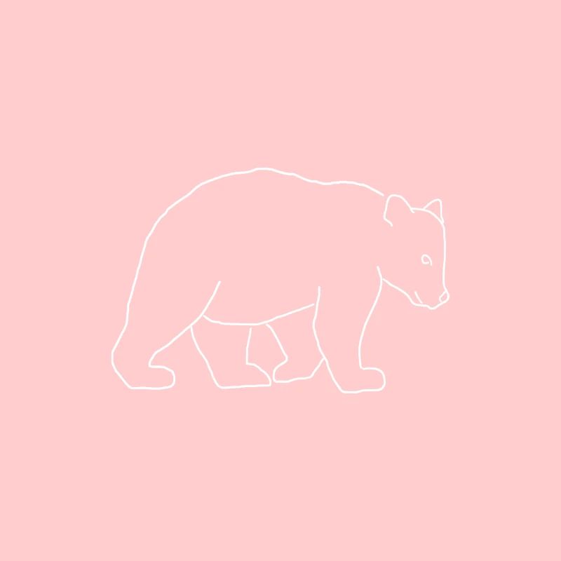 Bear sketch