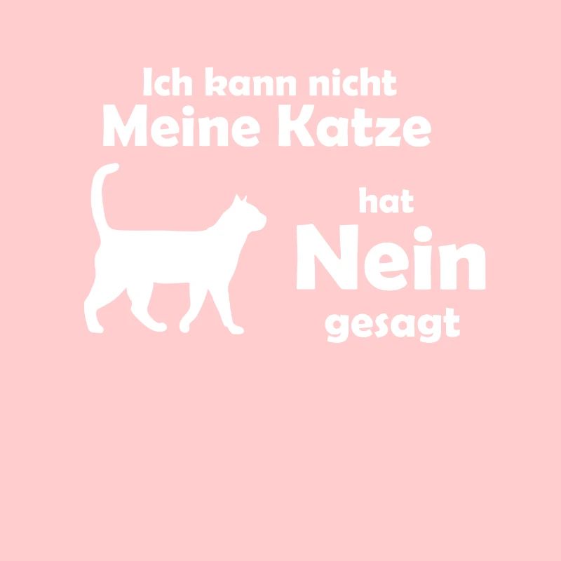 Katzen Spruch