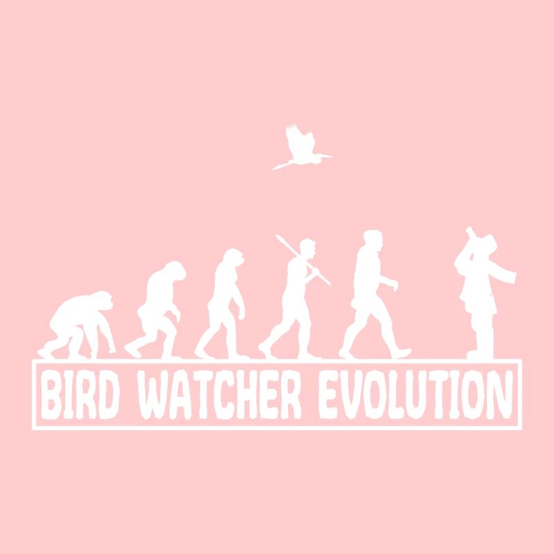 Ornithologie Oiseaux chanteurs observer évolution