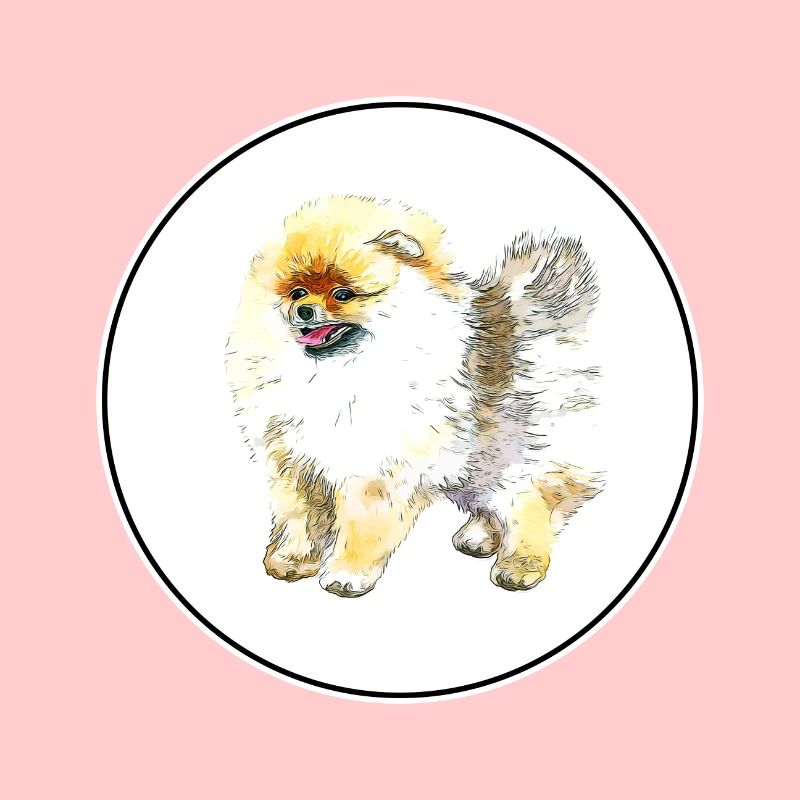 Illustration de l’aquarelle du chien Spitz de Poméranie