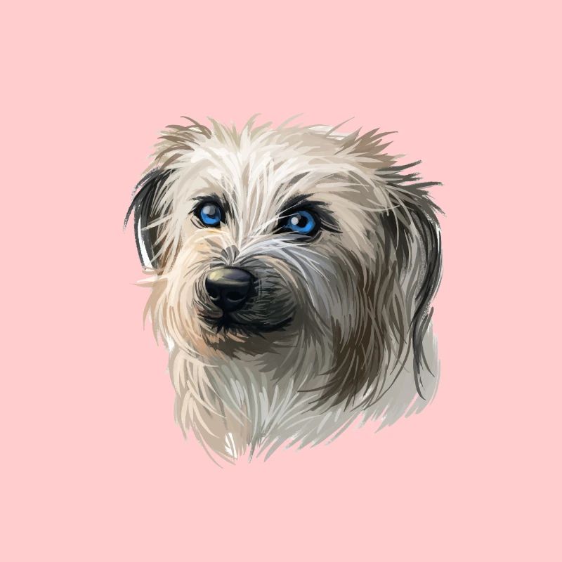 Illustration aquarelle de chien de berger pyrénéen