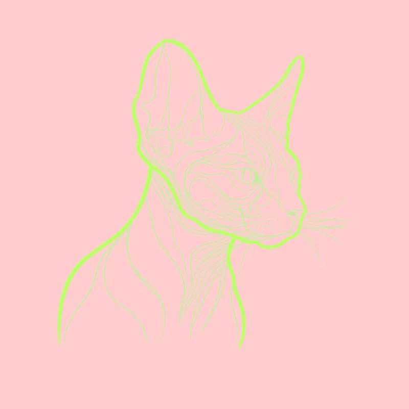 Chat sphinx line art