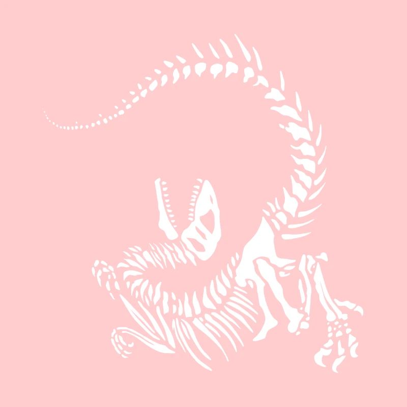 Raptor skeleton