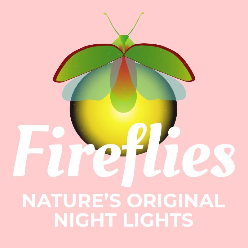 Lucioles Firefly Lightning Bug Insect Collector