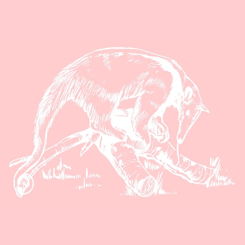 Anteater white / black