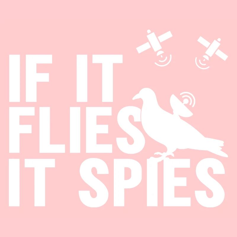 When it flies, it spies