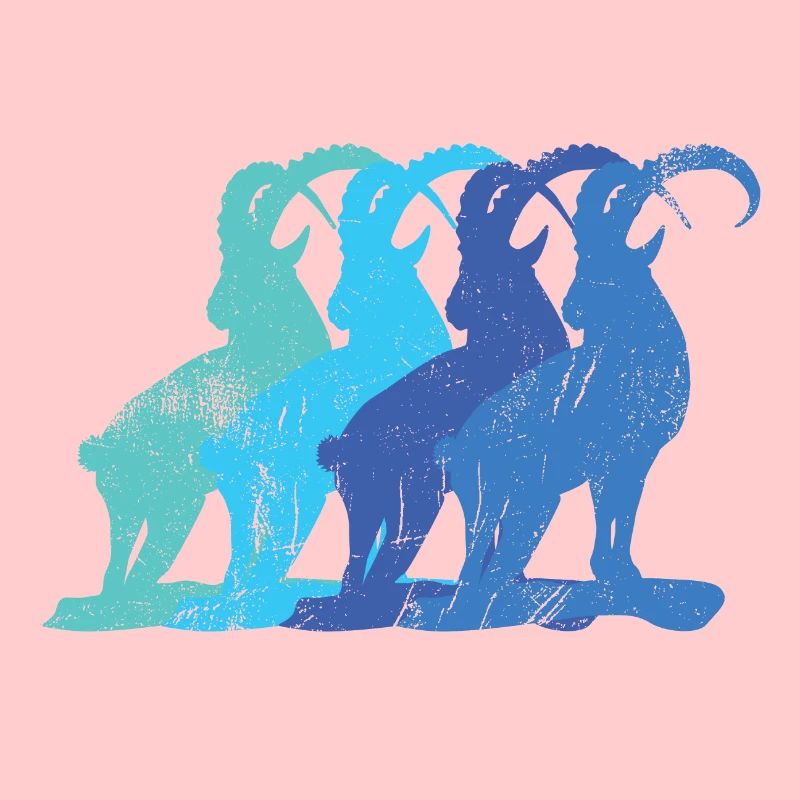 Steinbock Schatten scratched