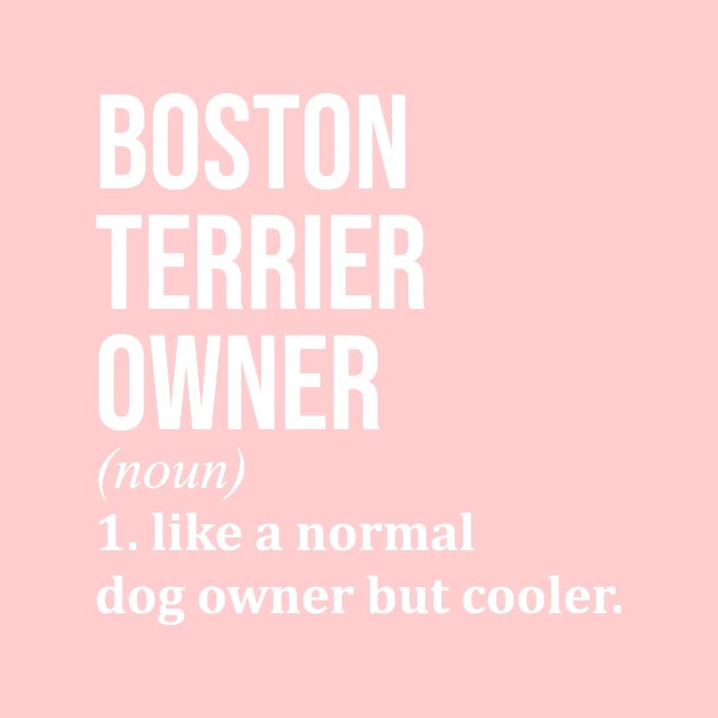 Boston Terrier