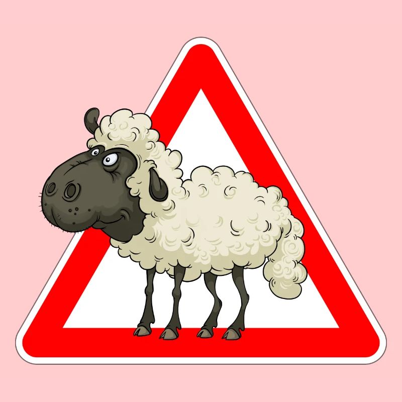 sheep