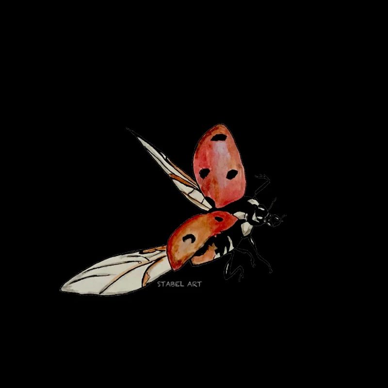 Marienkäfer/ Ladybug