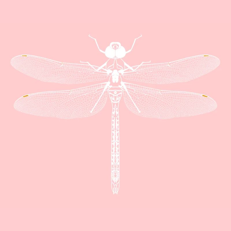 Libelle Weiss