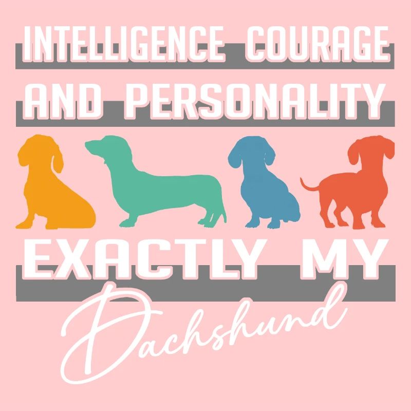 Intelligence, courage, personnalité - exactement mon teckel