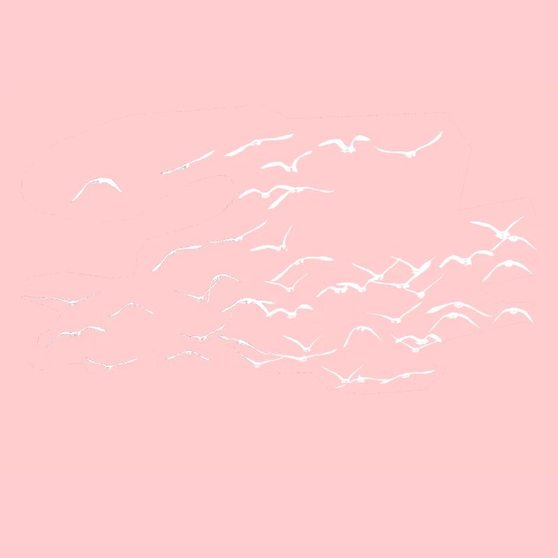 Graugans Graugänse Vögel Vogelschwarm