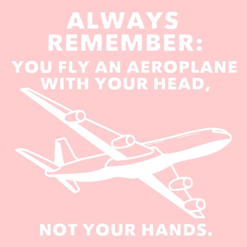 Plane pilot
