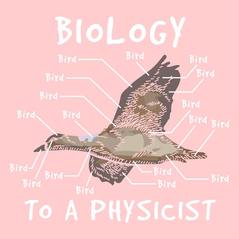 Physics expert