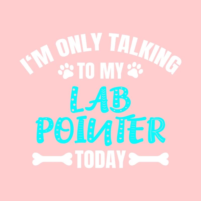 Lab Pointer