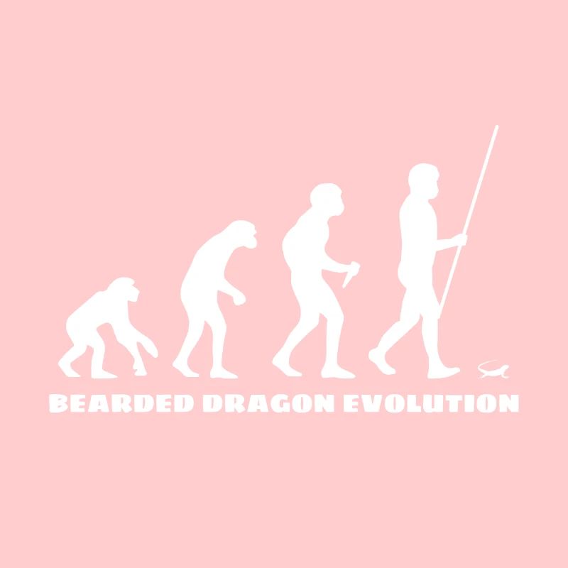 Dragon barbu Bartagame Evolution