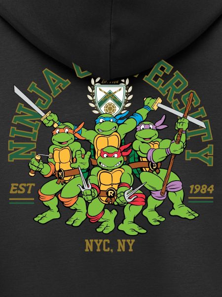 Teenage Mutant Ninja Turtles Université Ninja
