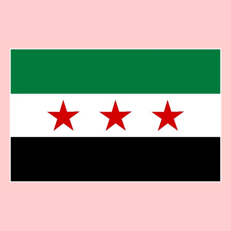 Syria Flag
