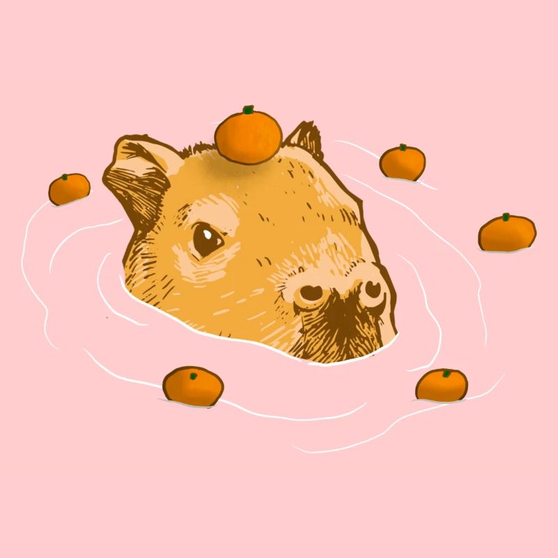 Conception de mème orange Capybara