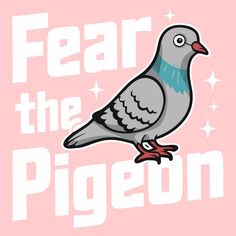 Taube Tauben Tier Vogel
