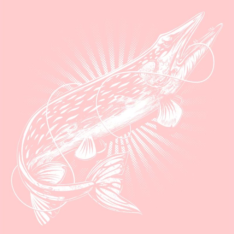 Pêcheur de brochet